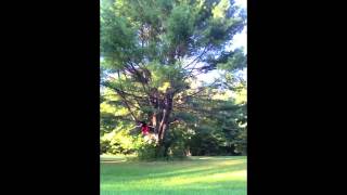 2012 fall edit