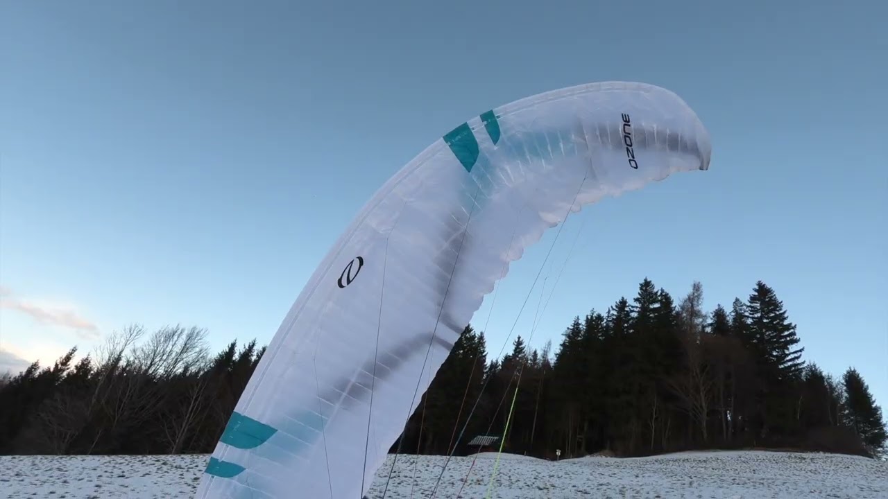 Kaiko Surprise Evening Glory