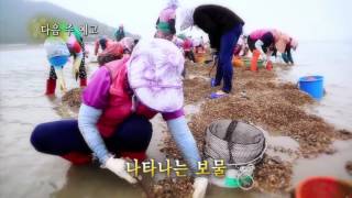 EBS1 한국기행 - 여름 보물섬