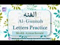 Ghunnah letters huruf e gunnah   practice with shaikh ayman suwaid