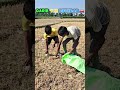 Poor Man vs Rich Guy Comedy Skits