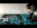World-renowned painting monkey, Pockets Warhol, dies