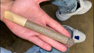 THE 10 GRAM CANNAGAR