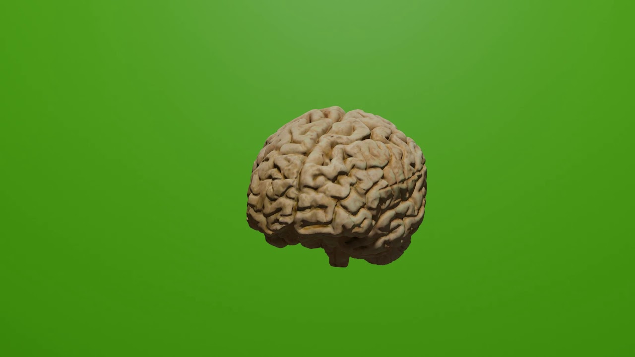 Green brain