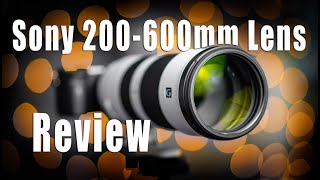 Sony FE 200-600mm Lens Review using Sony A6600