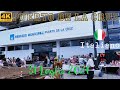 [4K] Mercato municipale di Puerto De La Cruz, Tenerife, Isole Canarie, Spagna (Lite inclusa)