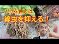 この資材が！？　ネコブセンチュ抑制資材　タネのハシモト