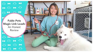 Fable Pets Magic Link Leash: An Honest Review | Trying Out Handsfree Leash on Samoyed!