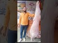 مطعم العالمي مغاغة العبور شارع الثورة عمارة الدولية ت 01018500410 01150611007