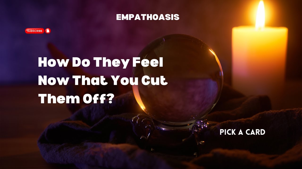 КАК ОНИ ЧУВСТВУЮТ СЕБЯ ТЕПЕРЬ, КОГДА ВЫ ИХ ОТРЕЗАЛИ (ВЫБЕРИТЕ КАРТУ)