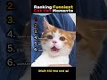 Ranking Funniest Cat Vet Moments 🐱💉💀 #funny #cat #memes