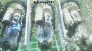 UV-Xchange   The Ultimate Biofouling Control