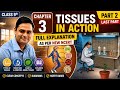 Tissues in Action Class 9 Science | Chapter 3 Part 2 &Last | New NCERT Explained