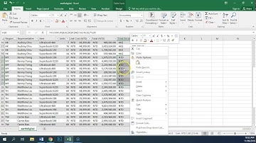 IGCSE ICT task SP1.15 - Setting local currencies