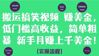 简单粗暴搬运搞笑视频赚美金，新手月赚上千美金-（Dailymotion项目实操流程）