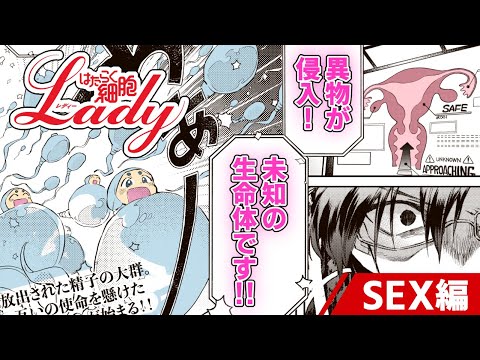 【漫画】“女性”に特化したスピンオフ！『はたらく細胞LADY』SEX編 ㊗はたらく細胞アニメ化!【公式】