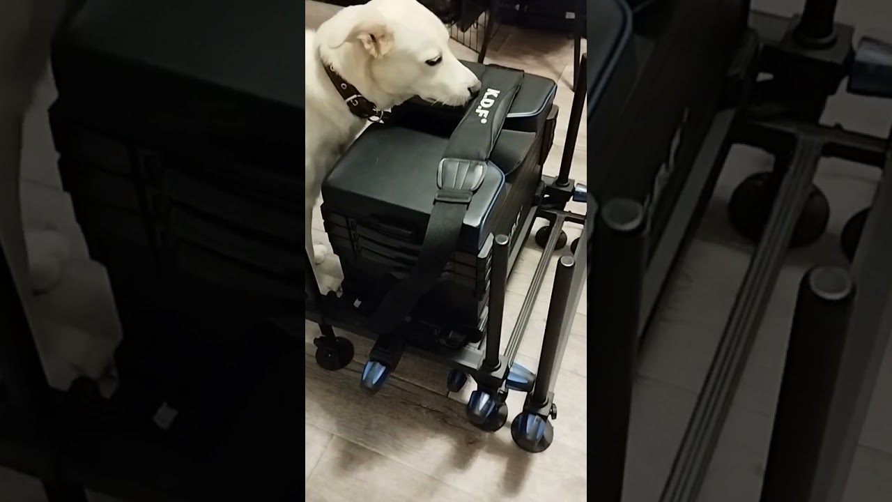 Долгожданная покупка!! Рыбалка в кайф! Теперь пофиг где ловить леща! 