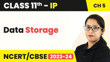 Data Storage - Understanding Data | Class 11 Informatics Practices Ch 5 (Code 065) | CBSE 2024-25
