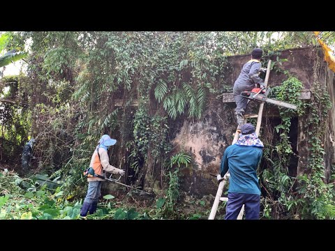 Видео: [EXCEED] Уборка заброшенного дома, заросшего деревьями и бурьяном | Привлекательная трансформация