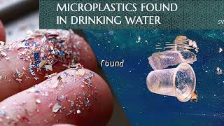 13 Shocking Facts About the Great Pacific Garbage Patch!