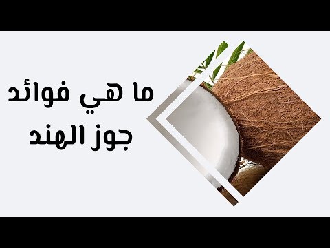 فيديو: لماذا يعتبر جوز الهند من الجوز؟