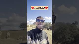 لايكاث باضاض