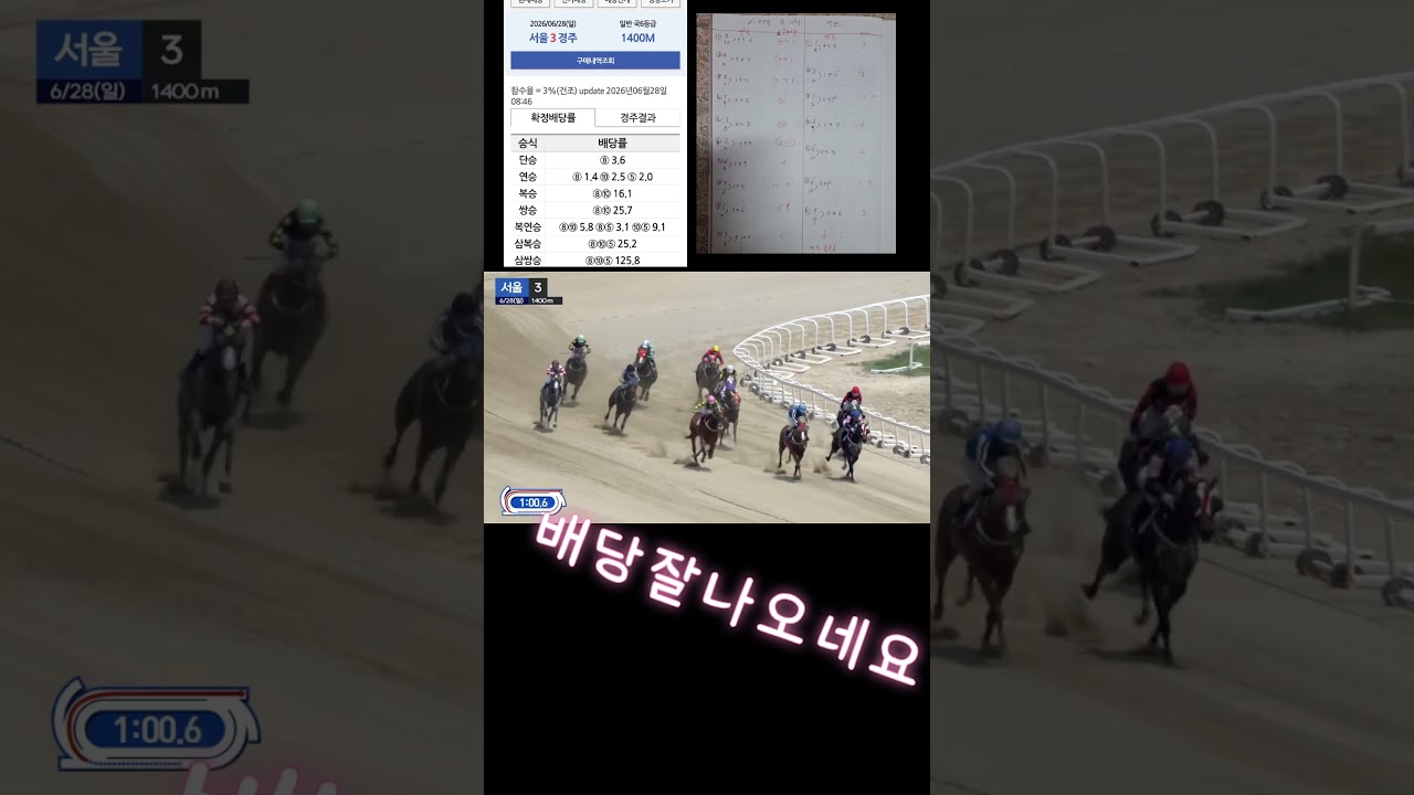 예상적중 배당좋와