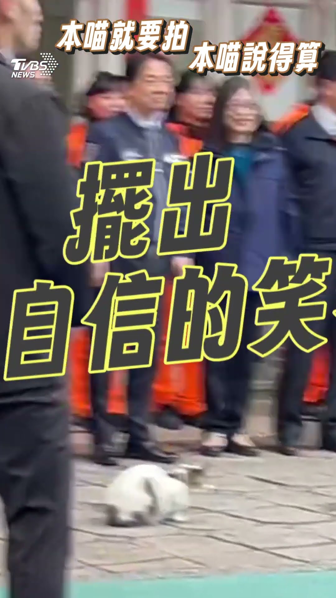 喵星人亂入賴清德拍合照搶C位! 「不顧隨扈反對」就地坐下｜TVBS新聞@TVBSNEWS01