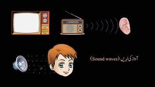 Human ear   structure and working | Oscillations & Waves | Physics | Khan Academy Urdu