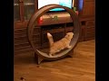 Беговое колесо для кошки от &quot;Кот Икар&quot;