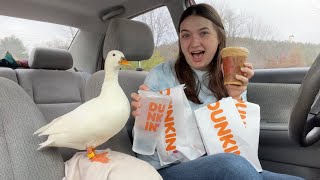 Trying New Winter Menu Items At Dunkin
