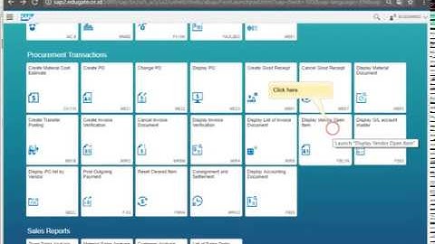 Display Vendor Open Item by SAP Screen Personas design Fiori