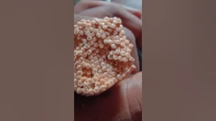 MOTO G64 5G DIM 7025+ 50 MO (OIS) +6000 MAH+33W FAST CHARGING+120HZ IPS LCD FHD+  DISPLAY UNDER 15K.