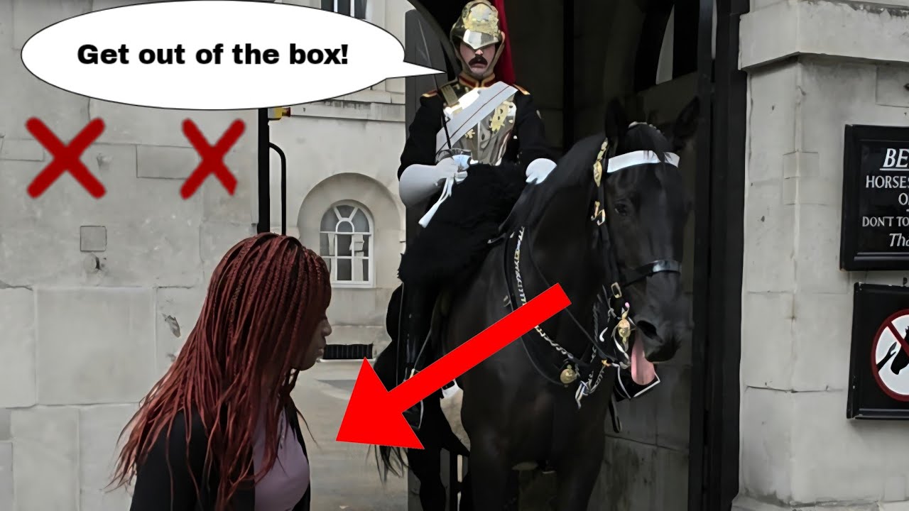 King's Guard tells tourist off 