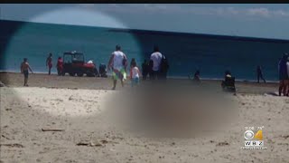 Saugus Woman Accused Of Animal Cruelty After Dog Dies At Revere Beach
