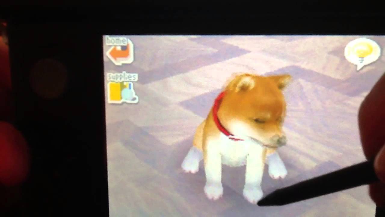 Zoe In Nintendogs YouTube