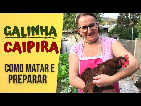 COMO MATAR UMA GALINHA CAIPIRA? COMO CRIAR  GALINHA CAIPIRA? COMO PICAR UMA GALINHA CAIPIRA?