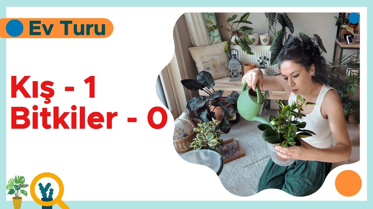 Kış Bitkilerimi Zorladı: Ev Turunda Gerçek Durum