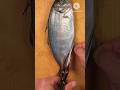 It’s a Simple Technique to Cut Fish l 😍 l #shorts #viralshorts #fishcutting_skills #seafish