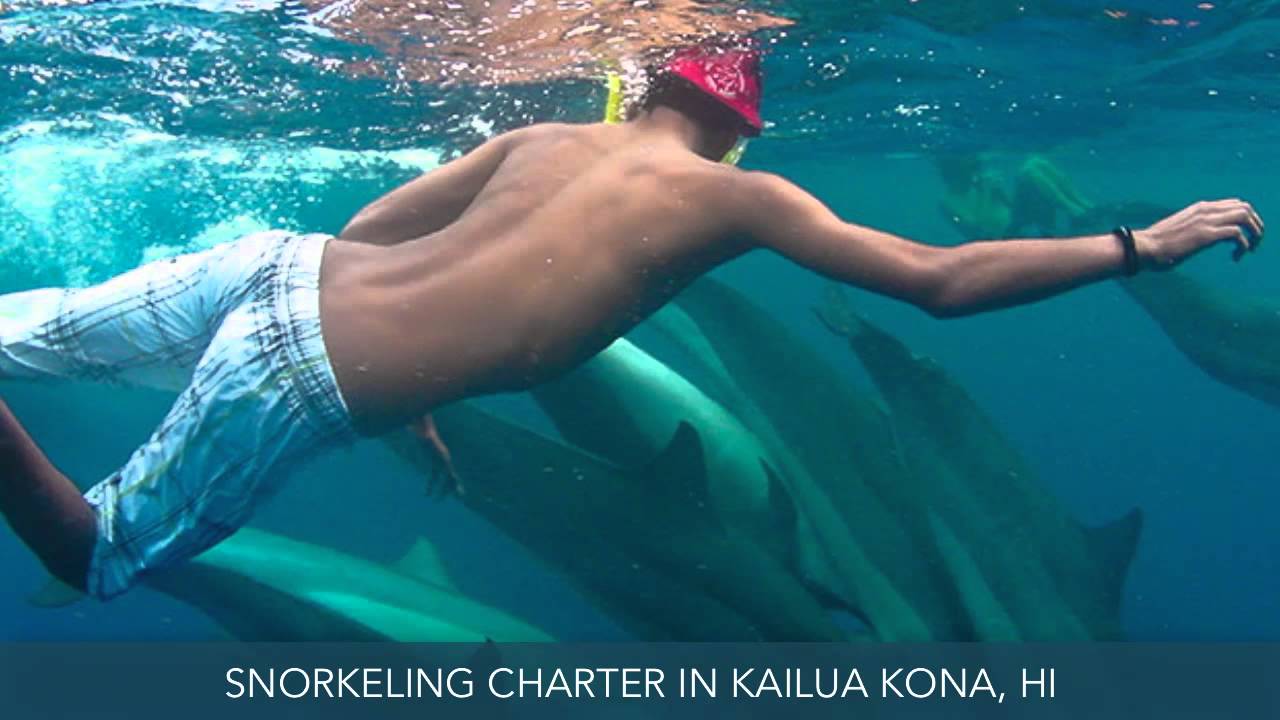 Snorkeling Charter Kailua Kona HI Coral Reef Snorkel Adventures YouTube