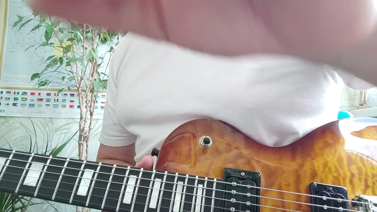 Kiesel California 6 SC vs Edwards Les Paul Custom mod.