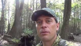 10/13/2012 Hog Hunt with William Malone in the Horn Swamp of AL