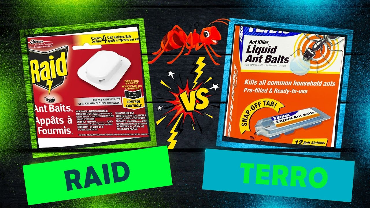 Which Pantry Moth Trap Works Best? Terro vs Raid Traps Overview and Results  #Terro #Raid 