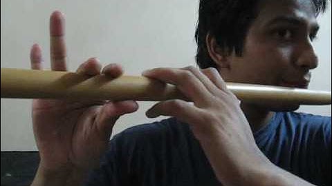 FLute lesson 2.flv ( pLease comment on my video)