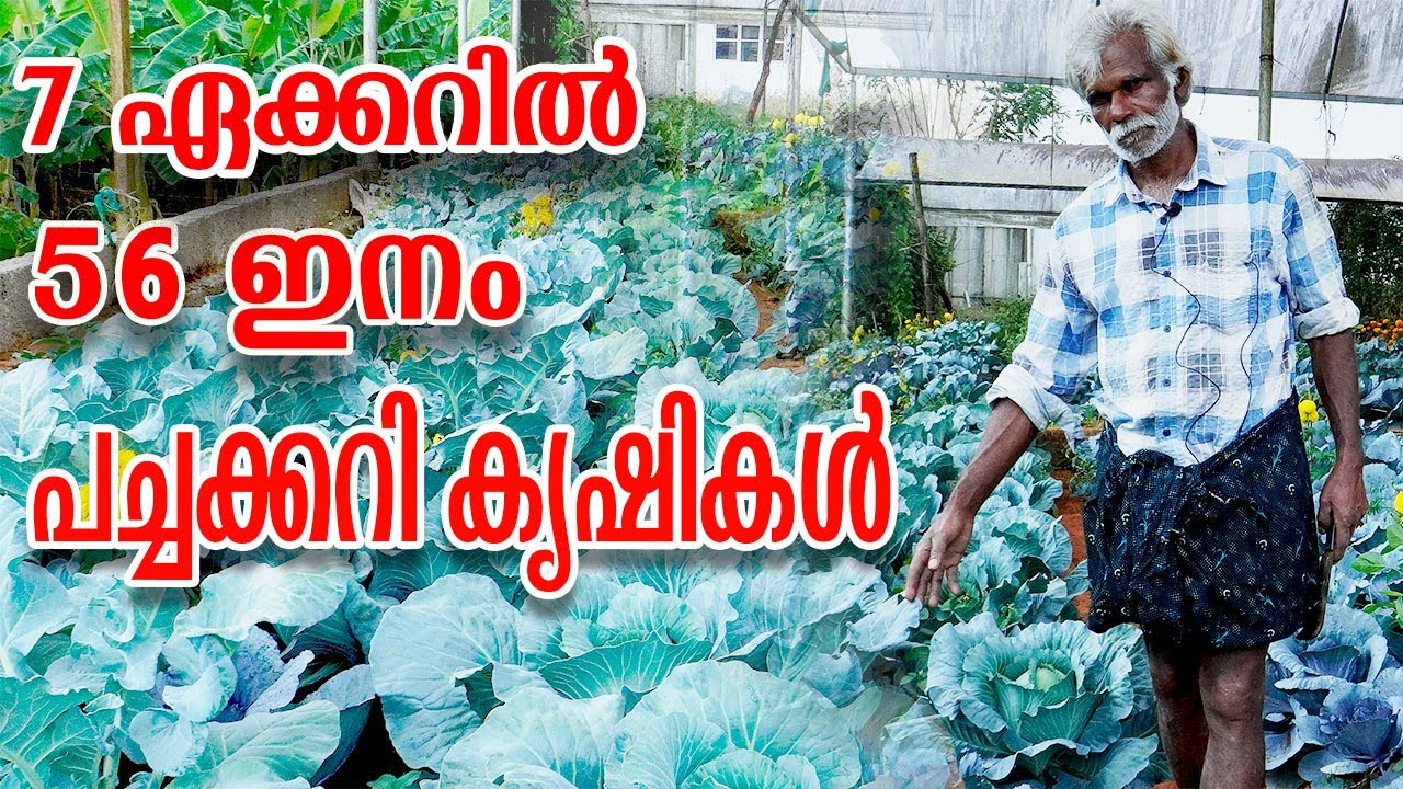 Удивительное разнообразие: 56 сортов сельскохозяйственных культур на огороде площадью 7 акров | С...