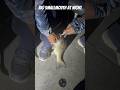 Wilson lake smallmouth at night (((on a crankbait))))