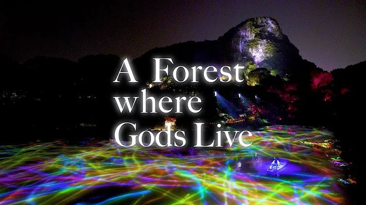 A Forest Where Gods Live - DayDayNews