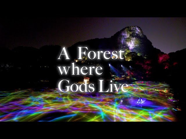 森に迷い込む :The woods which wavers