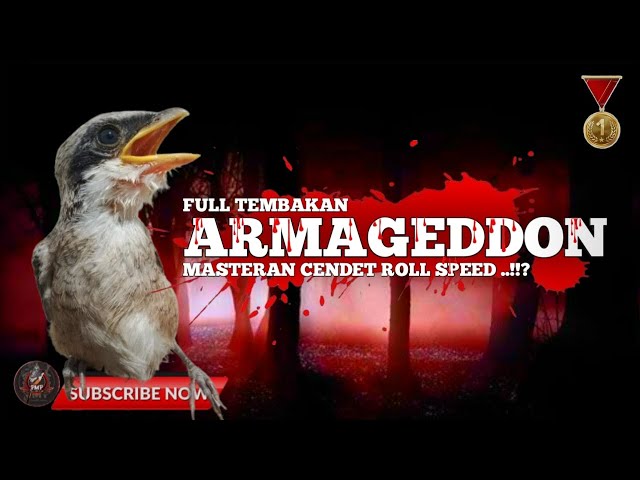 MASTERAN CENDET FULL TEMBAKAN ARMAGEDDON ,MASTERAN TERBAIK❗ class=