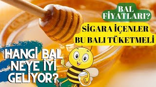 Türkiye'nin tüm bal çeşitleri bu dükkanda